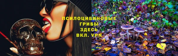 ГАЛЛЮЦИНОГЕННЫЕ ГРИБЫ Алексеевка