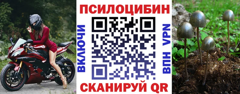 Псилоцибиновые грибы Magic Shrooms Чайковский